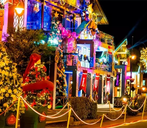 Encante-se com o melhor do Natal Luz