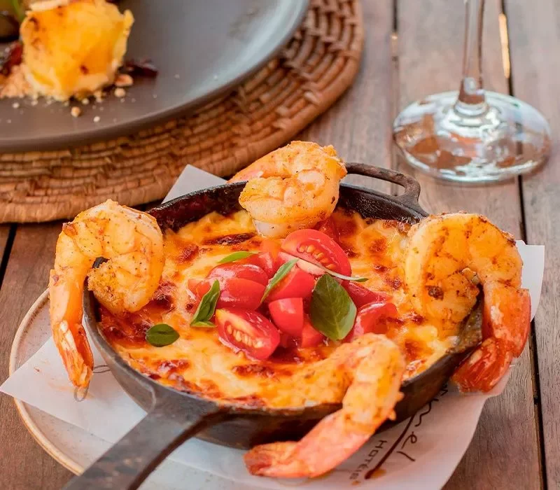 Experiências ++Gastronômicas