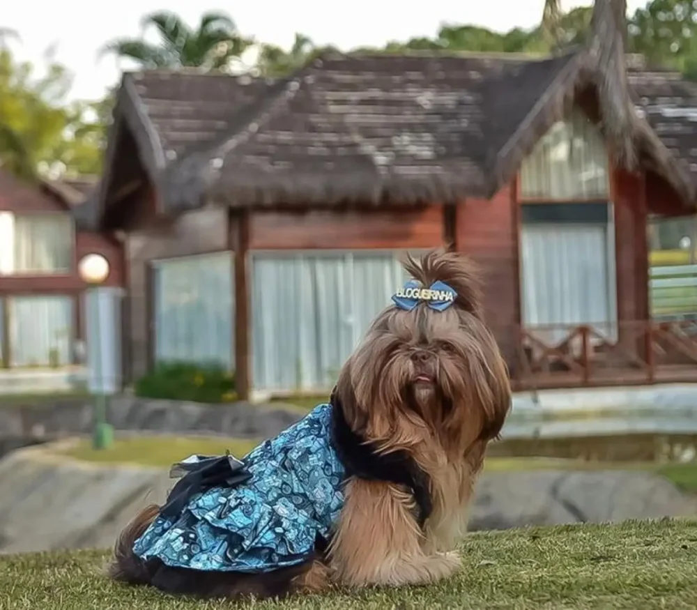 Dog Friendly