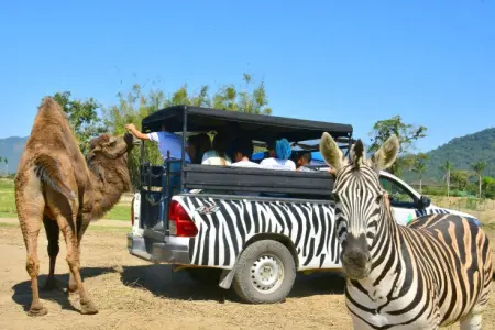Safari Exclusivo